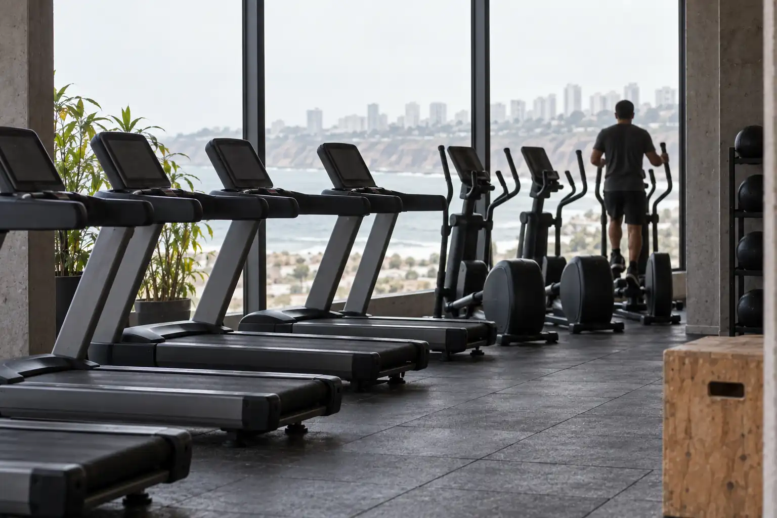 Fila de máquinas de cardio junto a un ventanal